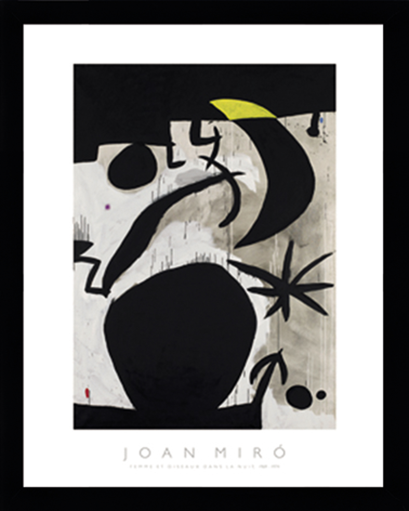Wandbild MondiArt | FEMME ET OISEAUX DANS LA NUIT | Rahmen schwarz | S : 30 x 40 cm