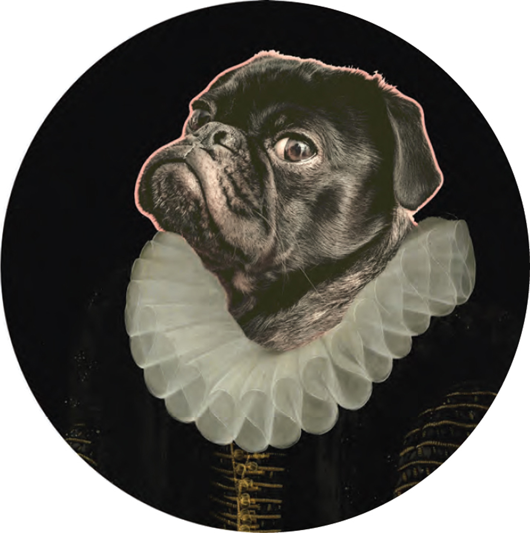 Glasbild rund | DOG | S : Ø ca. 30 cm