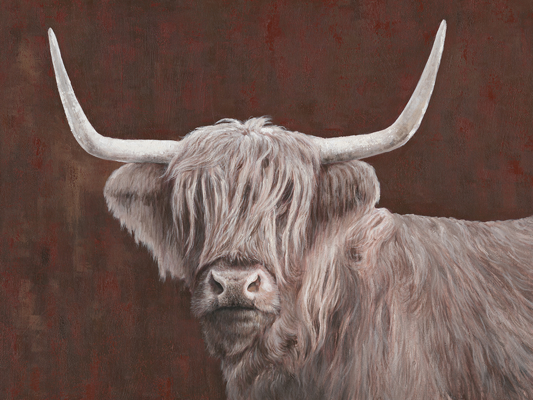 Leinwandbild MondiArt | HIGHLAND CUTIE | M: 90 x 120 cm