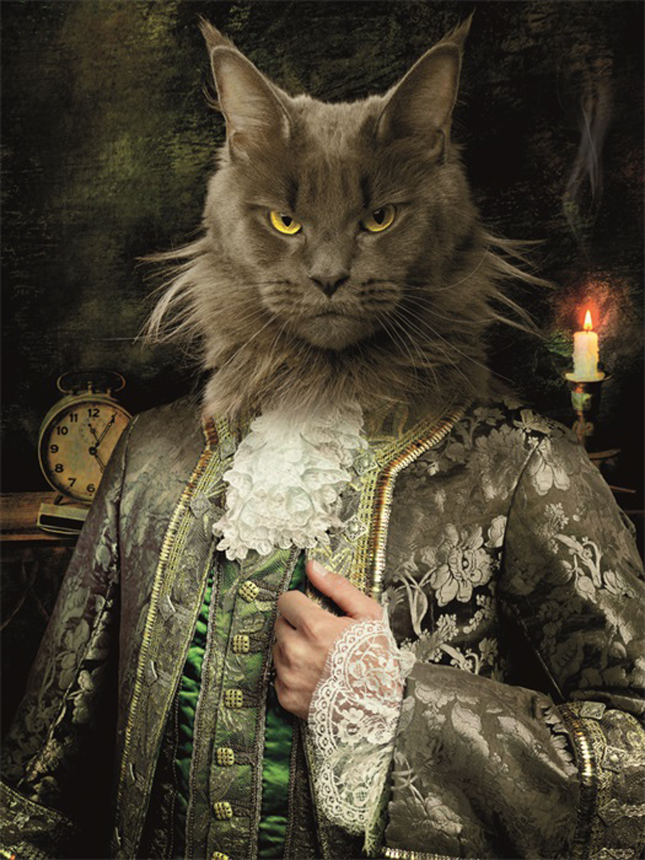 Wandbild MondiArt | ROYAL CAT | AluArt glänzend | M: 80 x 120 cm