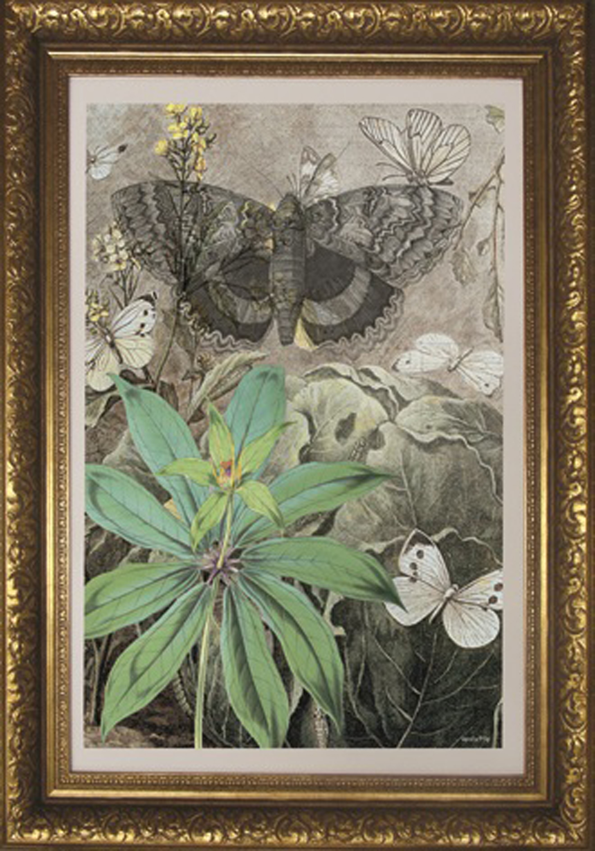 Wandbild MondiArt | BUTTERFLIES | Barockrahmen gold | M : 80 x 110 cm