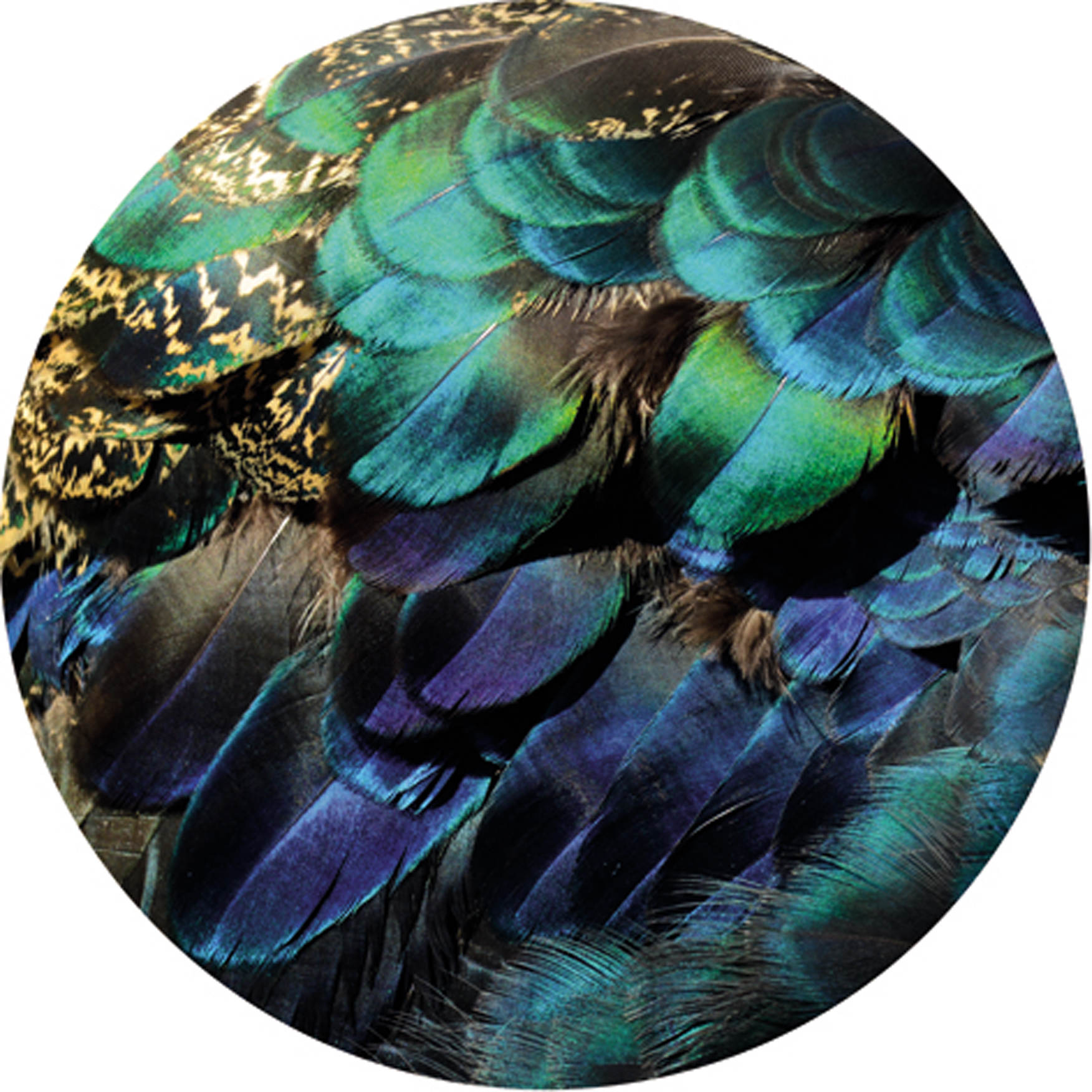 Wandtextil MondiArt | COLORFUL PEACOCK FEATHERS | mit Alu-Rahmen | rund L: Ø120 cm