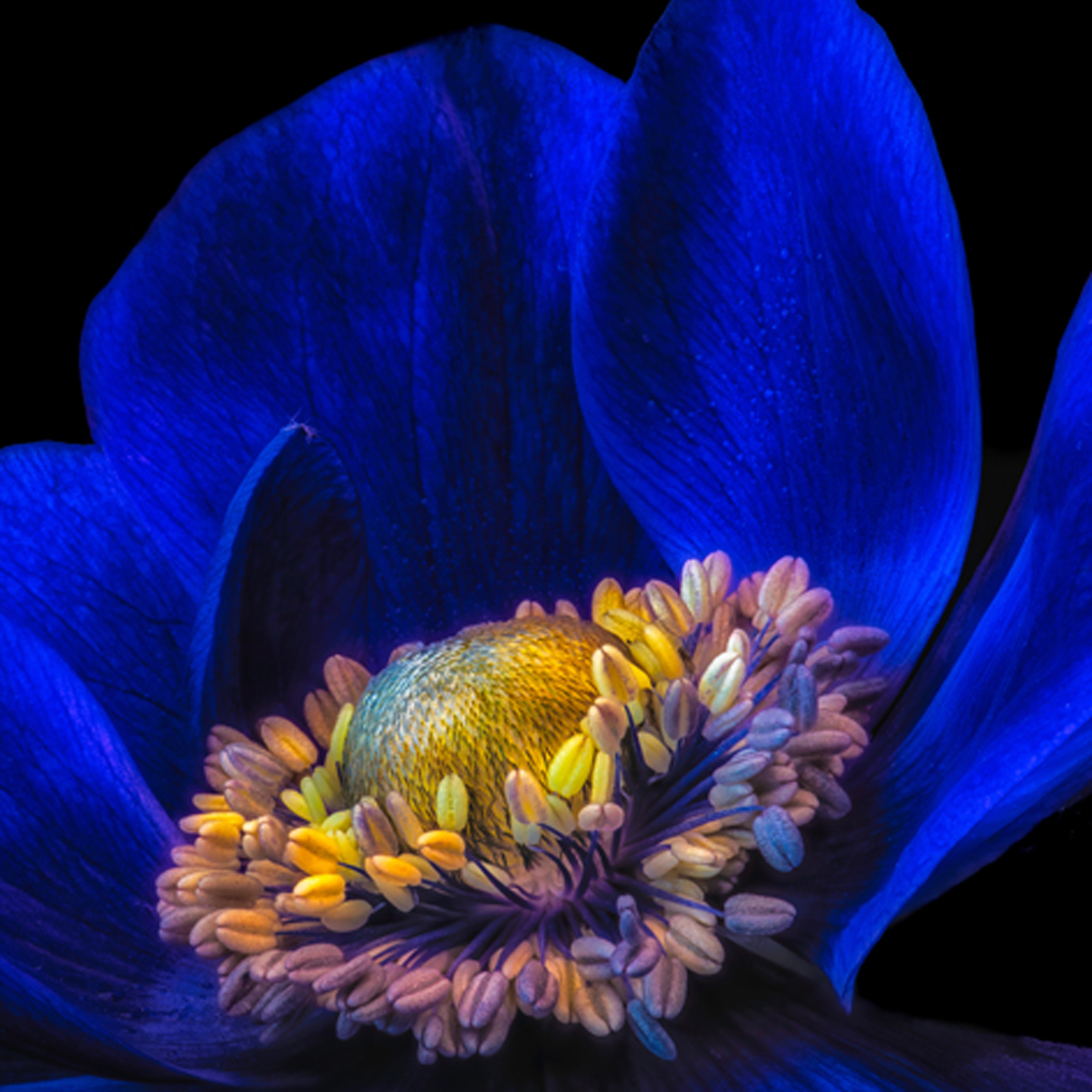 Wandbild MondiArt | OPEN YOUR HEART | AluArt glänzend | L: 120 x 120 cm